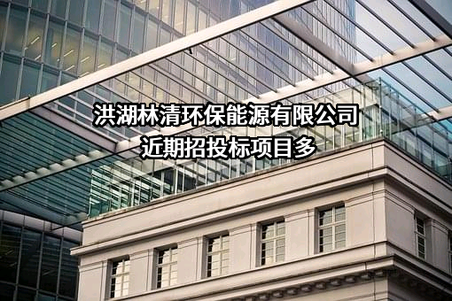 洪湖林清环保能源有限公司