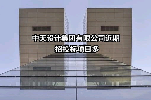 中天设计集团有限公司