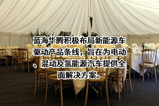 深圳市蓝海华腾技术股份有限公司