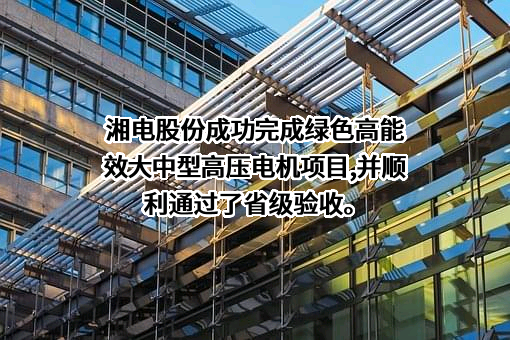 湘潭电机股份有限公司