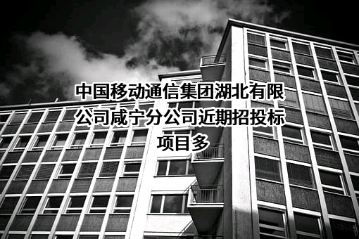 中国移动通信集团湖北有限公司咸宁分公司
