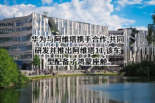 华为技术有限公司