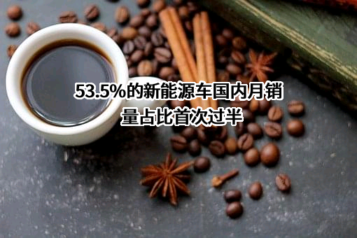 53.5%的新能源车国内月销量占比首次过半