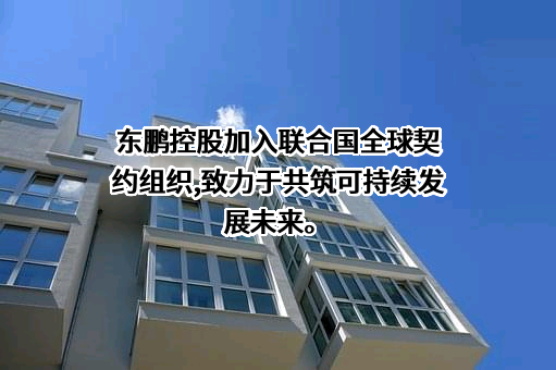 东鹏控股股份有限公司