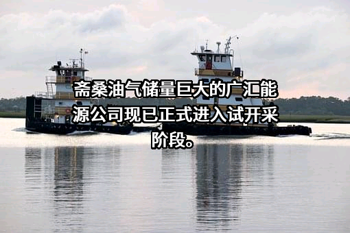 广汇能源股份有限公司