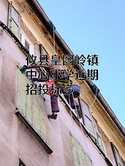 攸县皇图岭镇中心小学近期招投标项目多