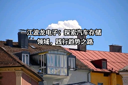 重庆江波龙电子有限公司