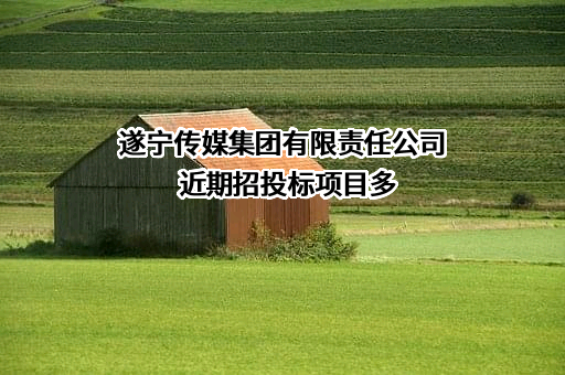 遂宁传媒集团有限责任公司