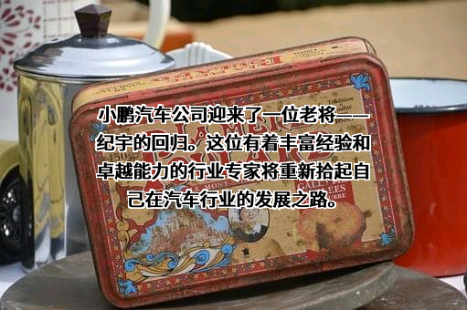 广州橙行智动汽车科技有限公司