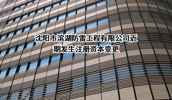 沈阳市滨湖防雷工程有限公司