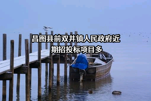 昌图县前双井镇人民政府