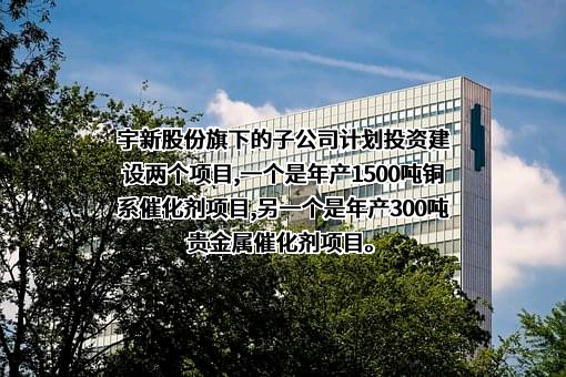 湖南宇新能源科技股份有限公司