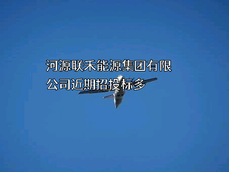河源联禾能源集团有限公司