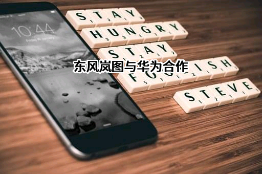 深圳东风汽车有限公司