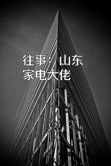 海信集团有限公司