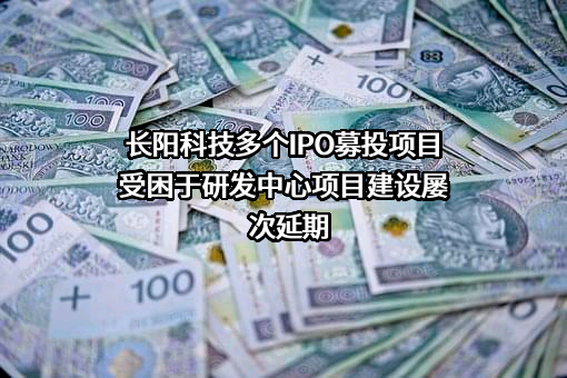 宁波长阳科技股份有限公司