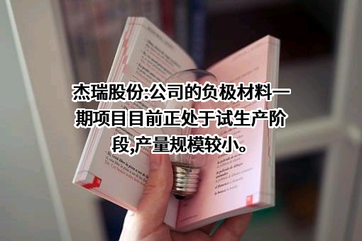 烟台杰瑞石油服务集团股份有限公司