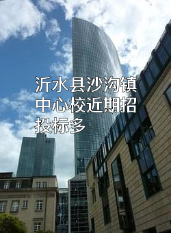 沂水县沙沟镇中心校近期招投标项目多