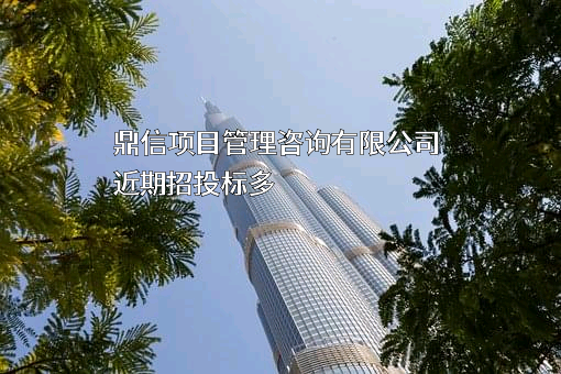 鼎信项目管理咨询有限公司