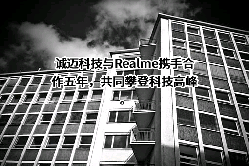 深圳市锐尔觅移动通信有限公司