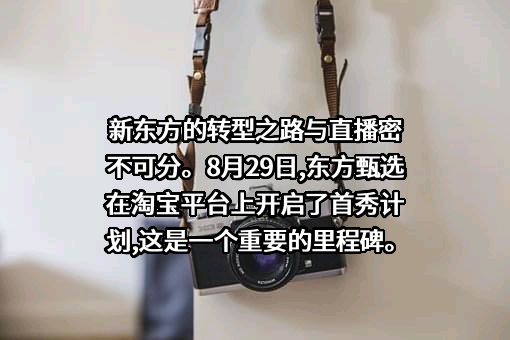 新东方教育科技集团有限公司