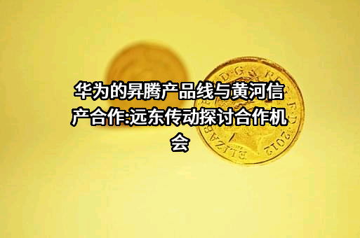 华为技术有限公司
