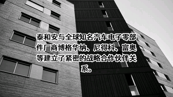 博格华纳公司