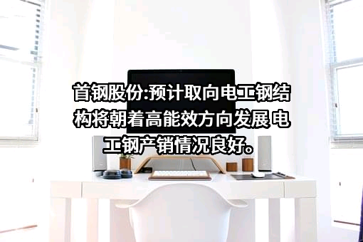 北京首钢股份有限公司