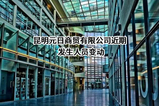 昆明元日商贸有限公司