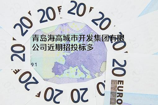 青岛海高城市开发集团有限公司