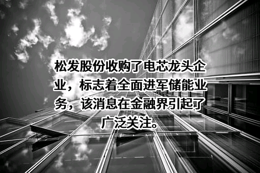 宁波利维能储能系统有限公司