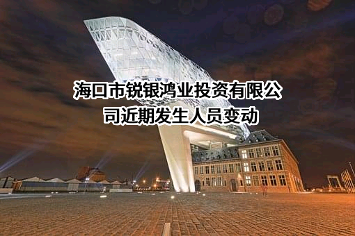 海口市锐银鸿业投资有限公司