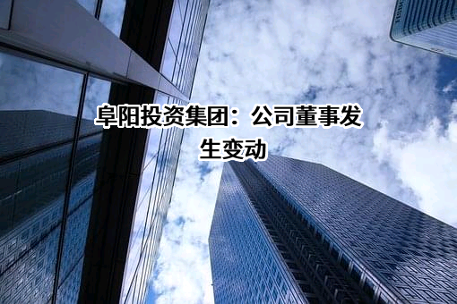 阜阳投资发展集团有限公司