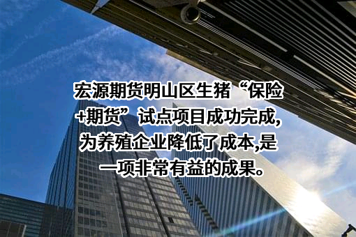 宏源期货有限公司