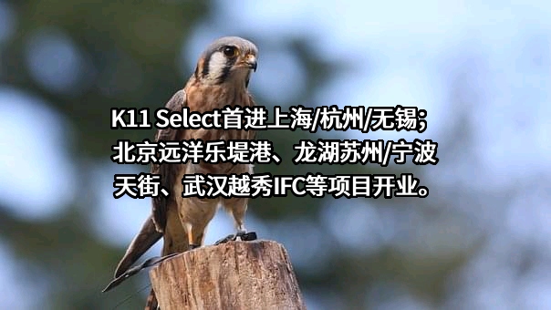 华润置地有限责任公司