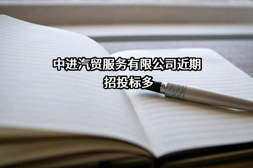 中进汽贸服务有限公司