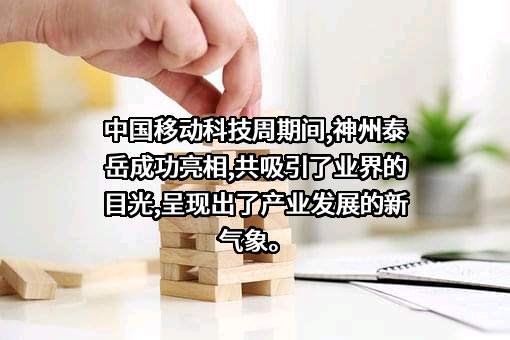 北京神州泰岳软件股份有限公司