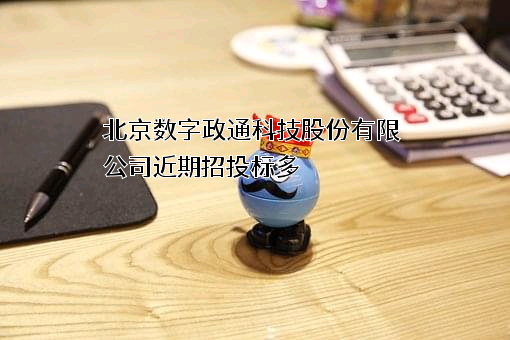 北京数字政通科技股份有限公司