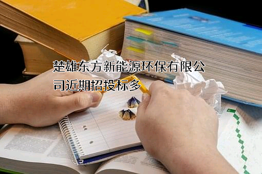 楚雄东方新能源环保有限公司