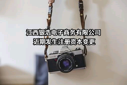 江西银浩电子商务有限公司