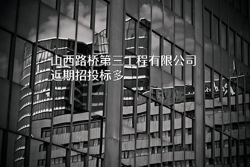 山西路桥第三工程有限公司