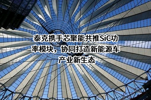 广东芯聚能半导体有限公司