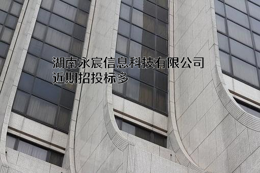 湖南永宸信息科技有限公司近期招投标项目多