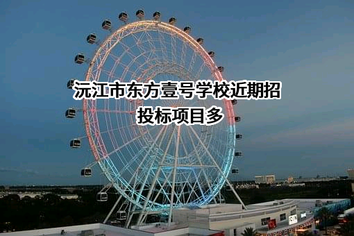 沅江市东方壹号学校近期招投标项目多