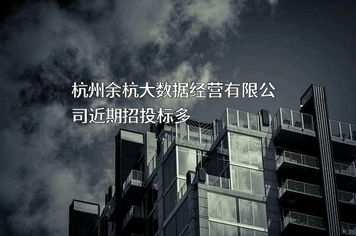 杭州余杭大数据经营有限公司