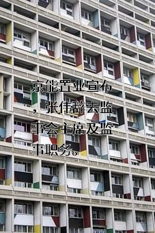 京能置业股份有限公司
