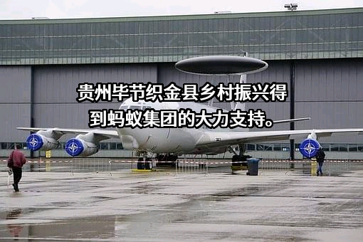 蚂蚁科技集团股份有限公司