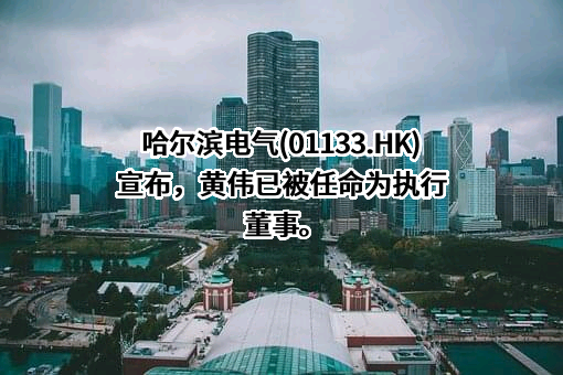 哈尔滨电气股份有限公司