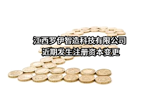 江西罗伊智造科技有限公司