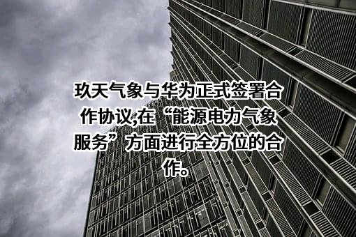 华为技术有限公司